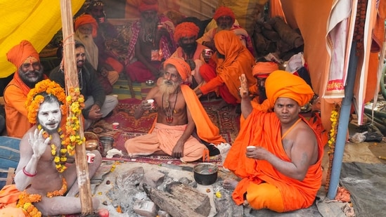 महाकुंभ 2025: दिलचस्प नामों वाले बाबा सुर्खियों में | तस्वीरें 1 13 जनवरी से शुरू हुआ महाकुंभ मेला 45 दिनों तक अनुष्ठानों में भाग लेने और आध्यात्मिकता की तलाश के लिए पूरे भारत से अद्वितीय साधु-संतों और भक्तों को प्रयागराज लेकर आया है। (पीटीआई)